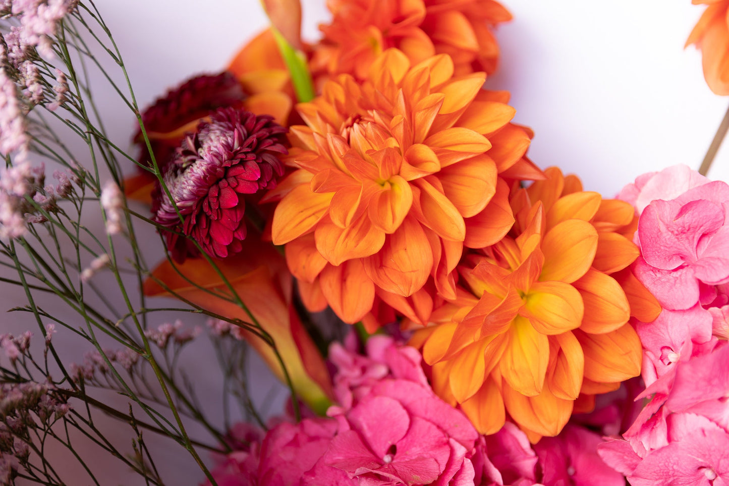 Ruby Tuesday Bouquet/Deep Seasonal Blooms/Flower Station Auckland