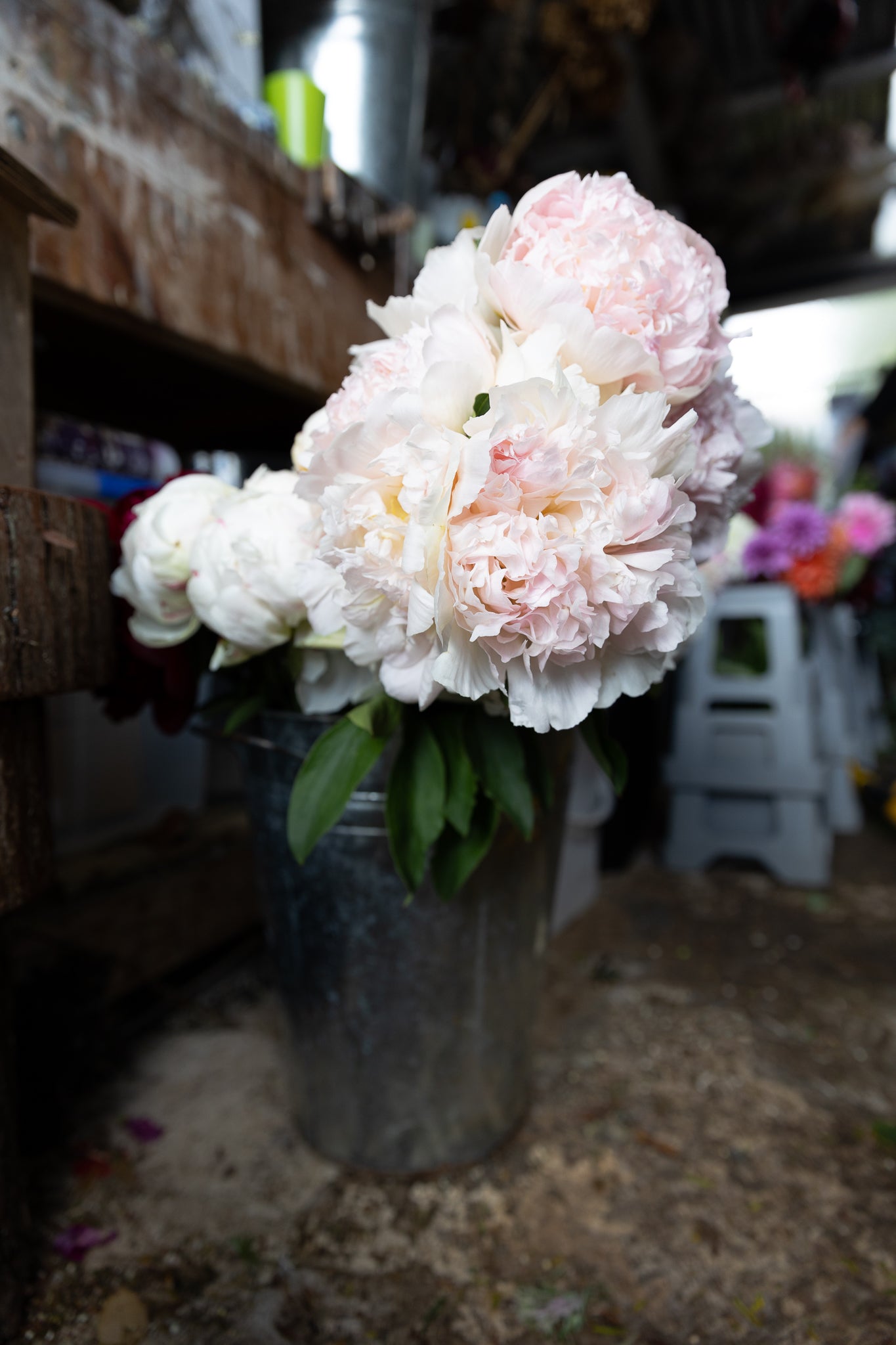 Seasonal Sensation Posy